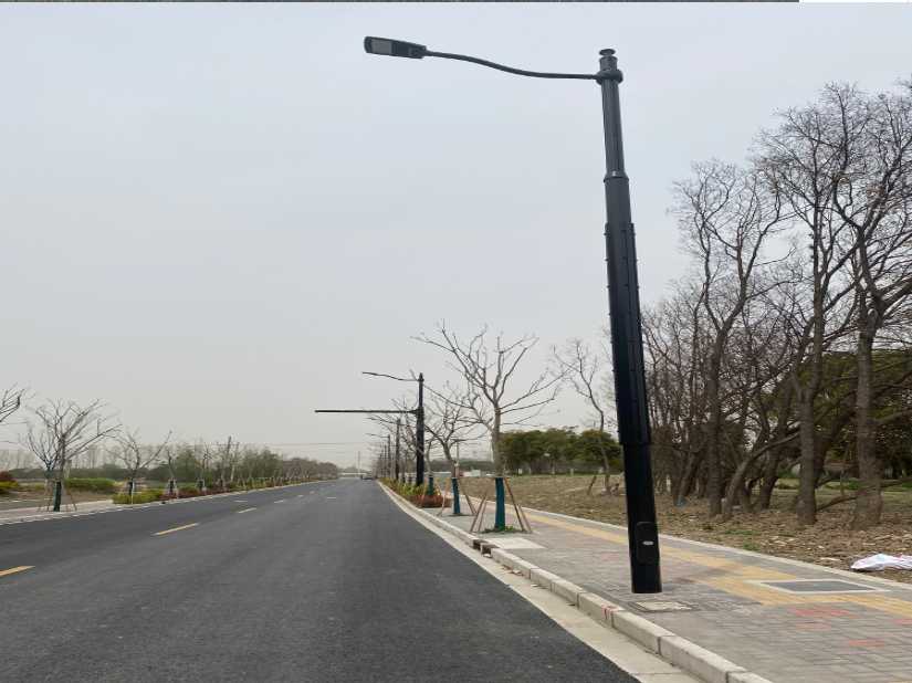 儋州市上海综合杆 太阳能路灯工程